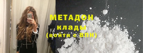 прущие грибы Вяземский