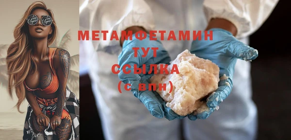 прущие грибы Вяземский
