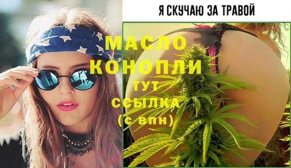 гидра Вязьма
