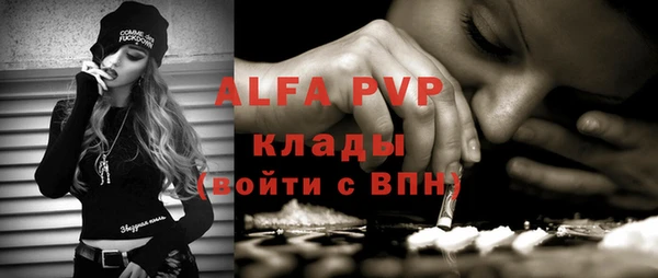 прущие грибы Вяземский