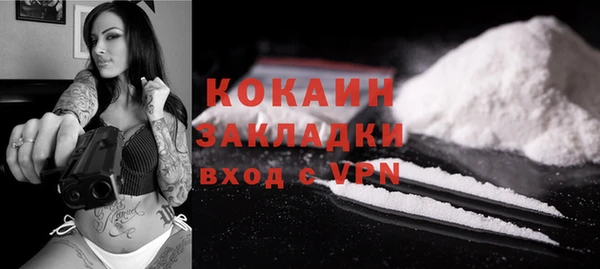 прущие грибы Вяземский