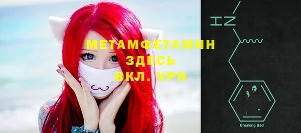 прущие грибы Вяземский