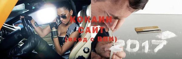 гидра Вязьма