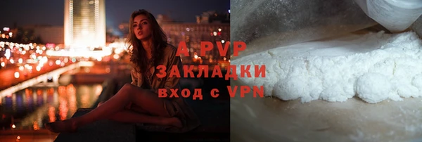 гидра Вязьма