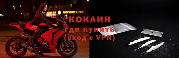 гидра Вязьма