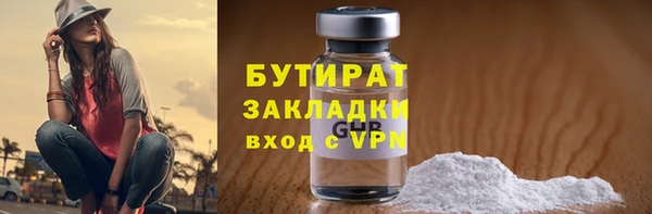 гидра Вязьма