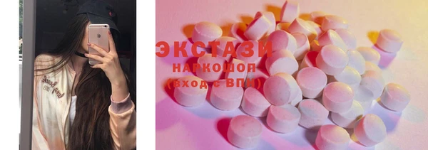 гидра Вязьма