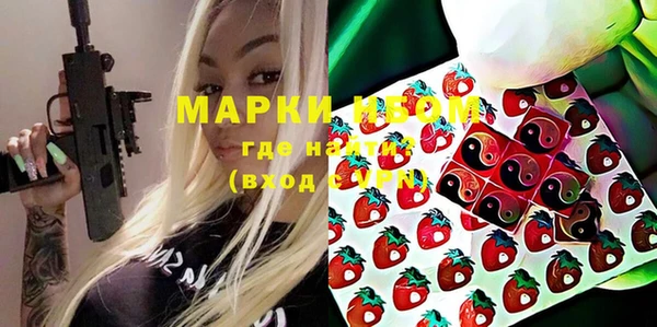 прущие грибы Вяземский