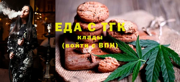 гидра Вязьма