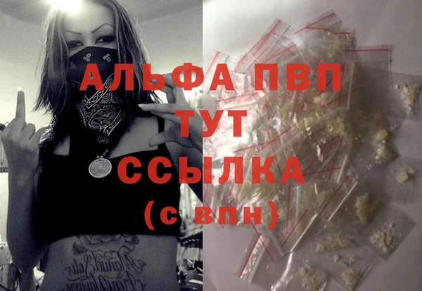 прущие грибы Вяземский