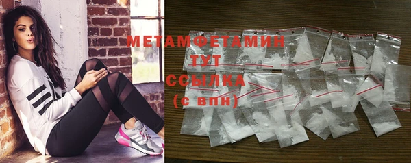 прущие грибы Вяземский
