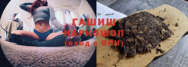 гидра Вязьма