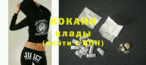 прущие грибы Вяземский