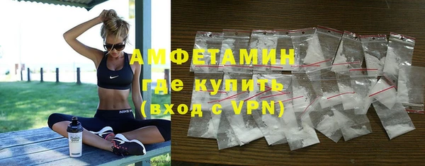 гидра Вязьма