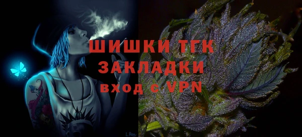 гидра Вязьма