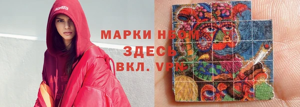 гидра Вязьма