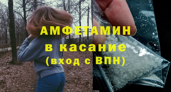 гидра Вязьма