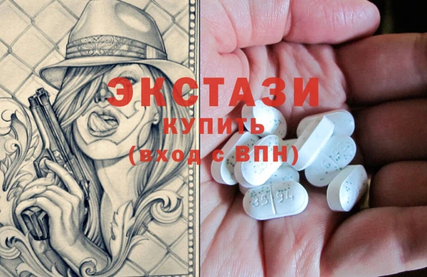 гидра Вязьма