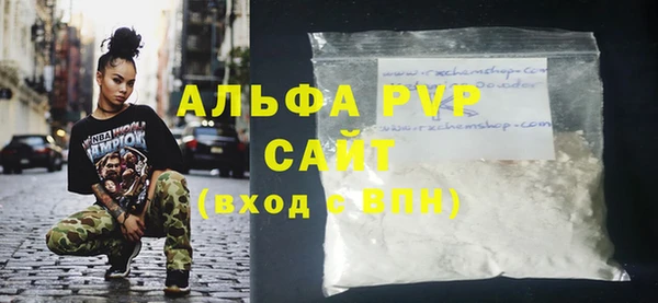 прущие грибы Вяземский